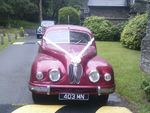 1946 Rover Fourteen P2 and 1954 Bristol 403 at a wedding on 23 June 2012