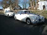 Two Mark 2 Jaguars in Old English White